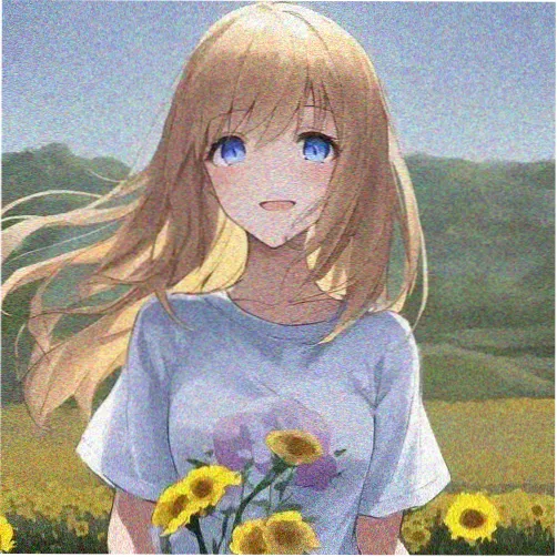 读者阿禾的头像